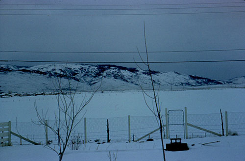 A view from my parent's backyard in northwest Reno in 1959 - the house was located on a street called Wesley Drive.